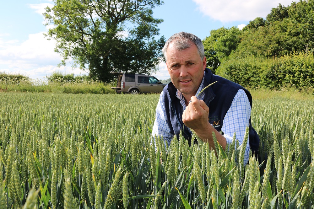 Andrew Ward has resolved not to allow a single blackgrass head in his cereal crops go to seed.