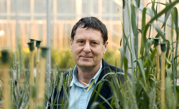 Peter Shewry wants to study varieties that are suitable for bread-making at 11-12% protein.