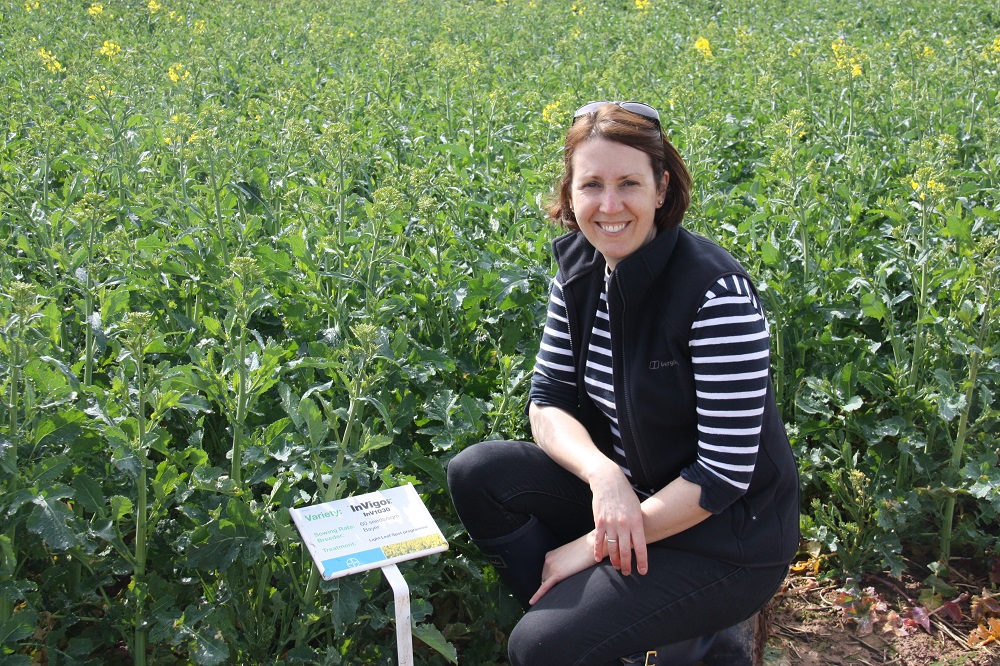 Bayer is working at progressively increasing oil content and improving LLS resistance, says Sarah Middleton.