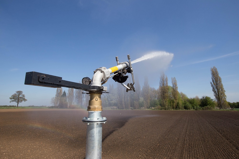 Irrigating sugar beet to help with emergence Picture Tim Scrivener 07850 303986