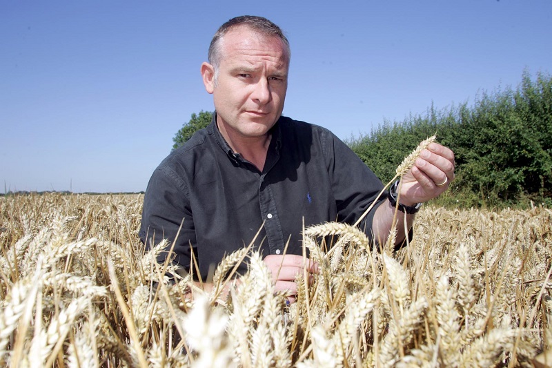 The growth of crops and diseases alike have carried on almost uninterrupted since last autumn, says Sean Sparling.