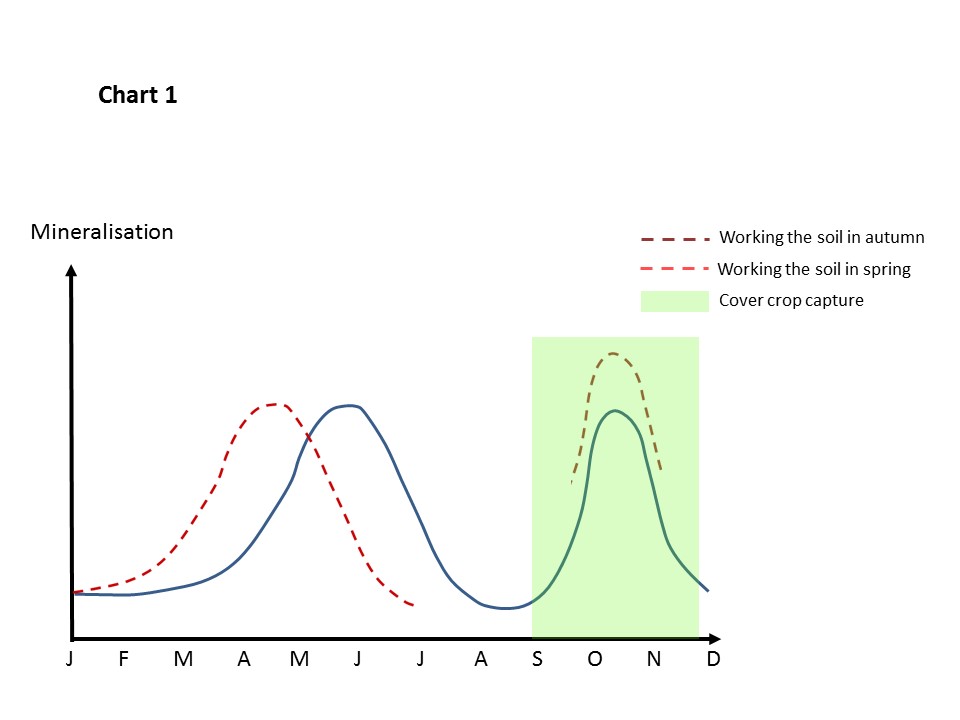 Soil N mineralisation