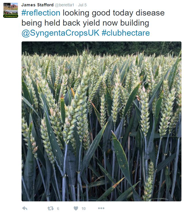 James Stafford’s crop really picked up with the first dose of N and put out a lot of tillers.