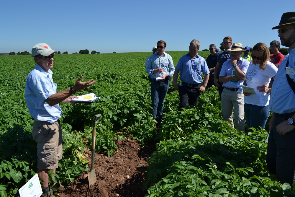 Working soil too deeply increases fuel consumption, labour, repair and depreciation costs, says Mark Stalham.