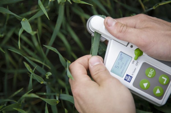 Ideally, a 10-day interval between plant tissue tests give a more accurate picture of the crop and the season.