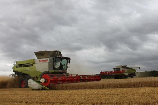 With both superseded and current (foreground) Claas Lexion 770 combines on its fleet, Bartlow Estate has been able to gauge the value of recent upgrades.