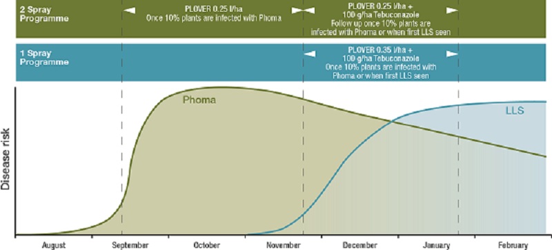 Triazoles still provide effective control, but rates need to be kept robust at 50% or more of the recommended dose. Source: Syngenta 