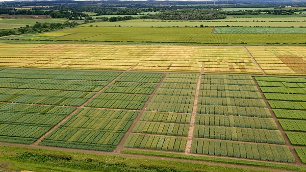 Now the largest trials organisation in Scotland, Scottish Agronomy has over 25,000 plots across 10 sites.