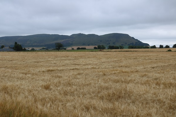 Scottish Agronomy has built its reputation on making the most of the Scottish climate, and turning it into profitable crops for its farmer members.