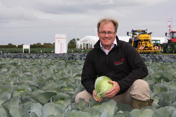 David Clay, Brassica Crop Manager