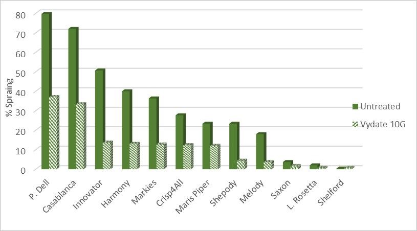 Source: AHDB; results from a site in Shrops (2012); presence of TRV confirmed using diagnostic tests performed by SASA.