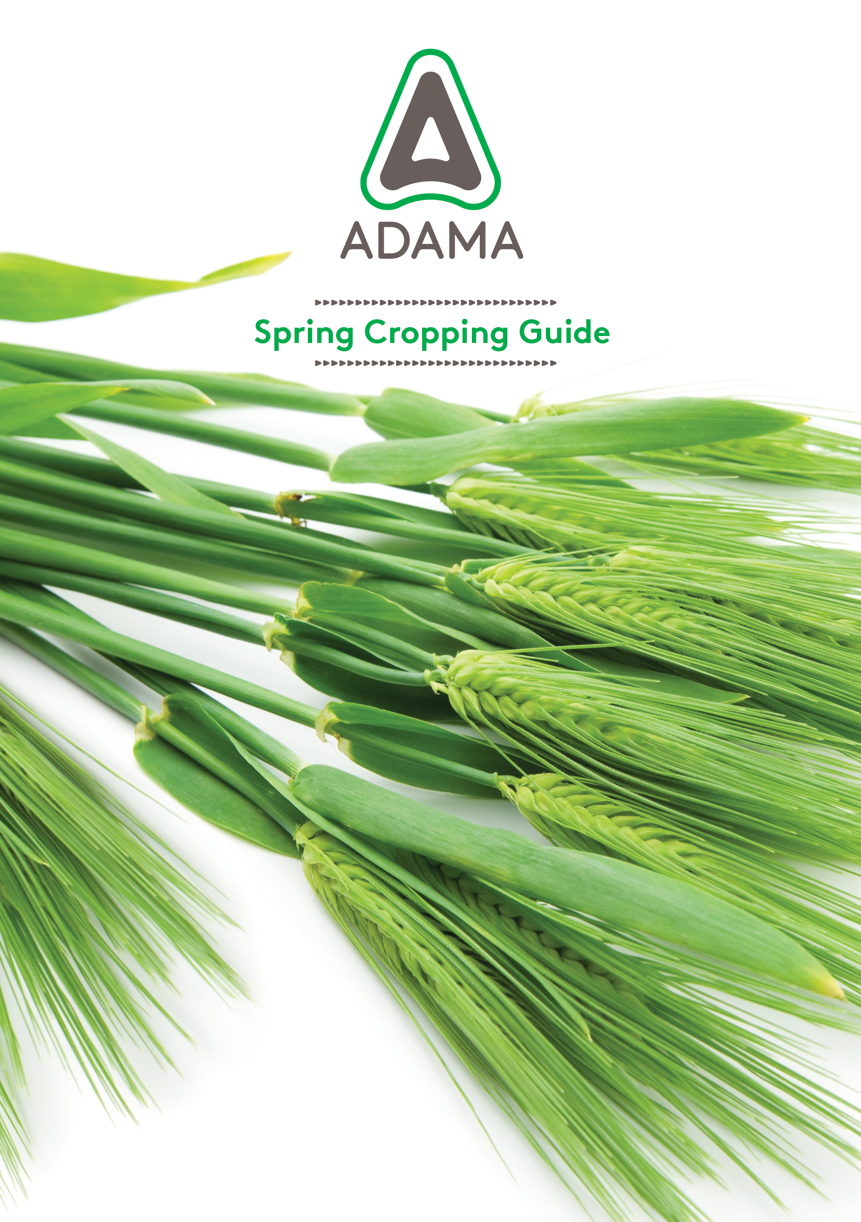 Spring Cropping Spring cropping and cereal disease advice portal goes live - Crop ...