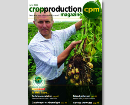 Crop Production June 2020