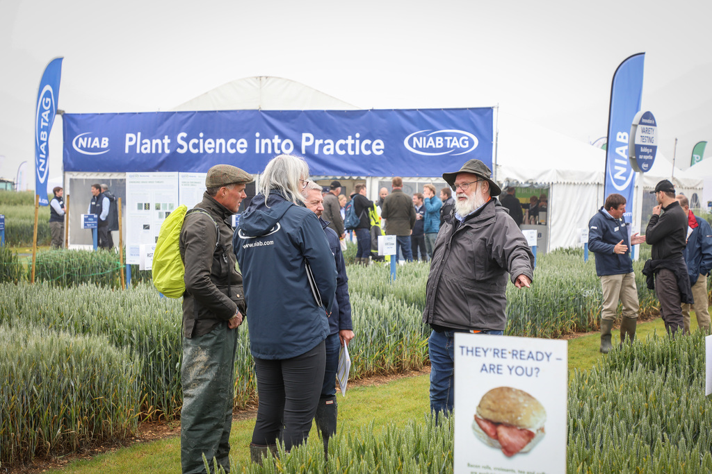 New date for Cereals 2021 to allow more visitors Crop Production Magazine