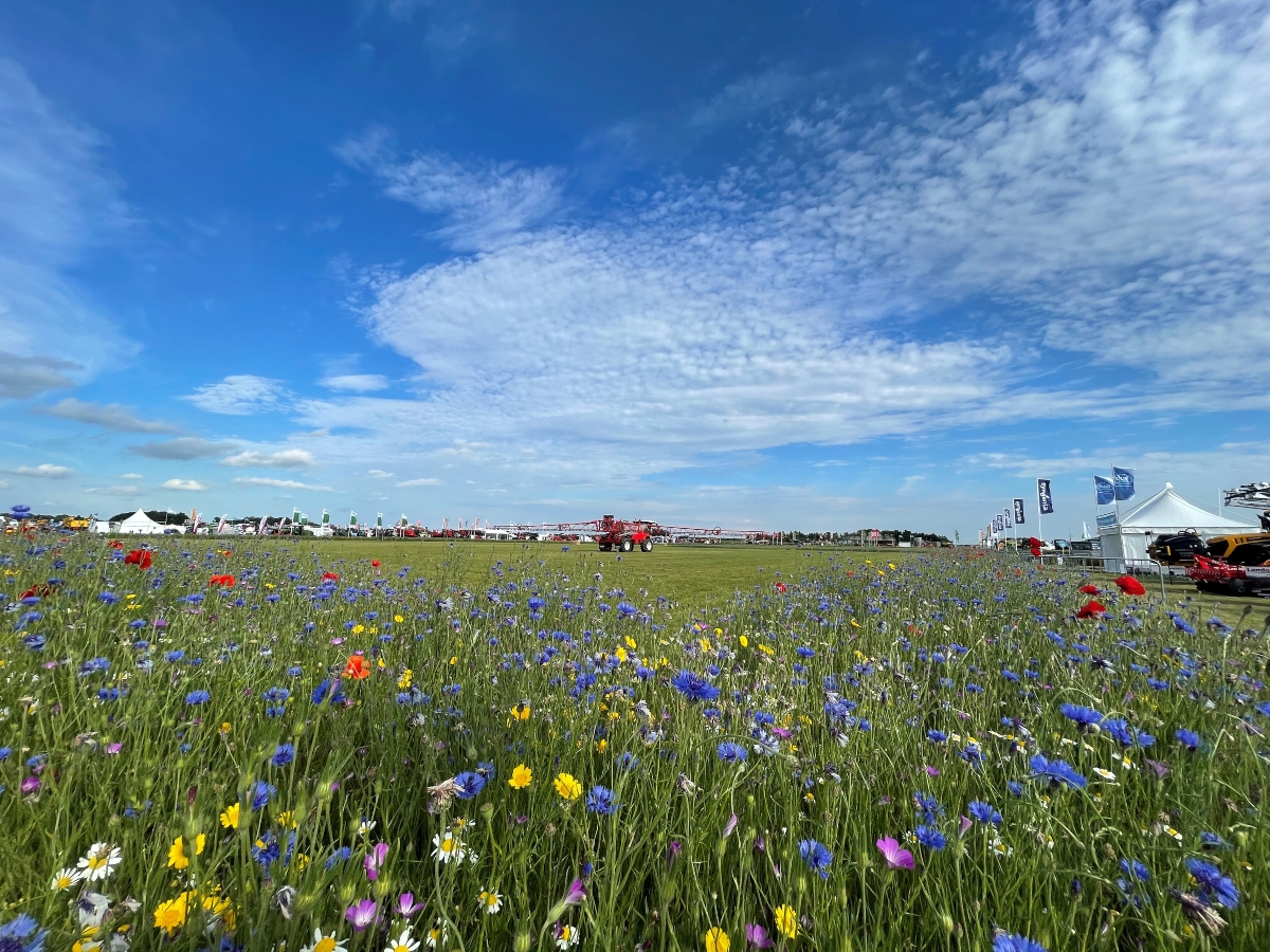 Cereals Event Preview Machines, masterclasses and meetups Crop