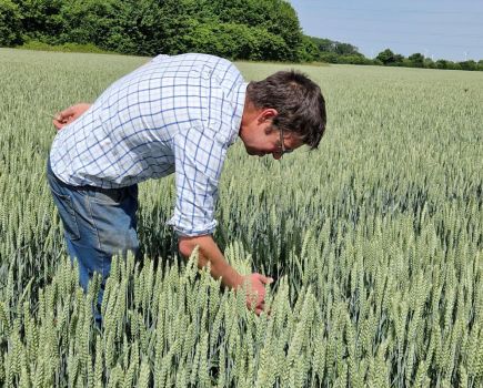 Supercharging the seed