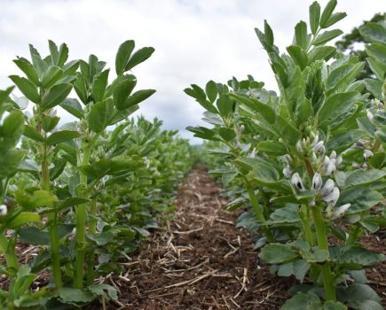 Farming with nature