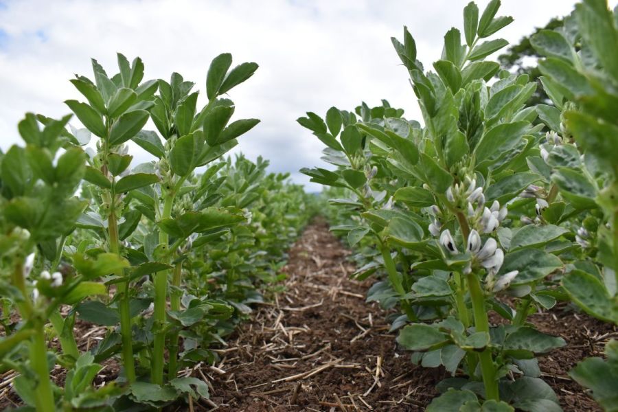 Farming with nature
