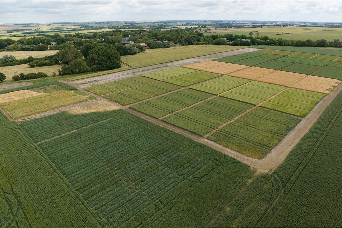 Stow Longa Longa path to success Crop Production Magazine
