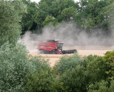 Nature Natters: Too hot to handle