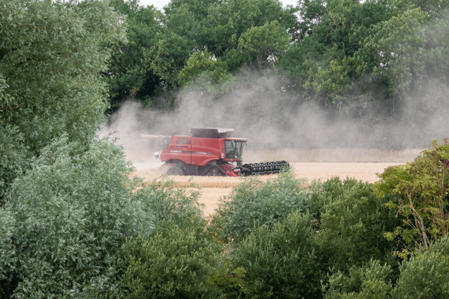 Nature Natters: Too hot to handle