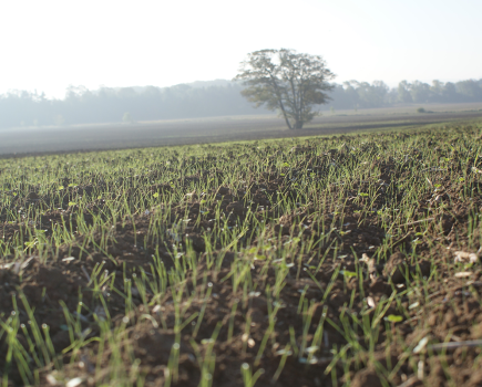 Innovation insight: New dawn, new MoA, same strategy