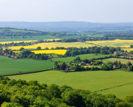 Capitalising on ‘natural capital’