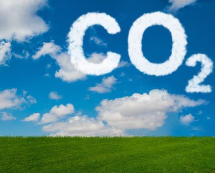 Scientific path towards net zero