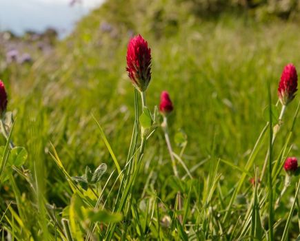 Nature Natters: Is politics on farming’s side?