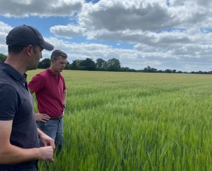 Biological solutions to nitrogen challenges