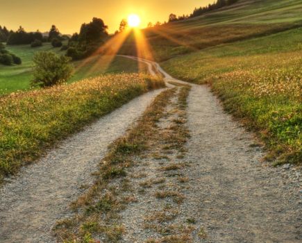A road less travelled