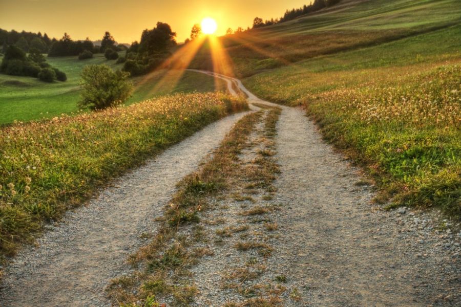 A road less travelled