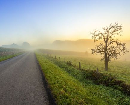 Nature Natters: Putting credibility higher on the agenda