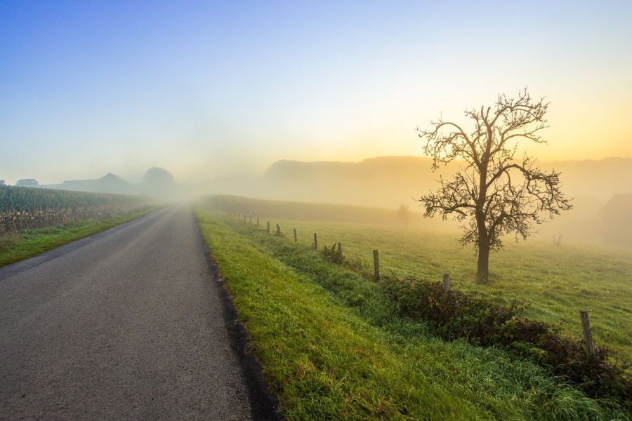Nature Natters: Putting credibility higher on the agenda
