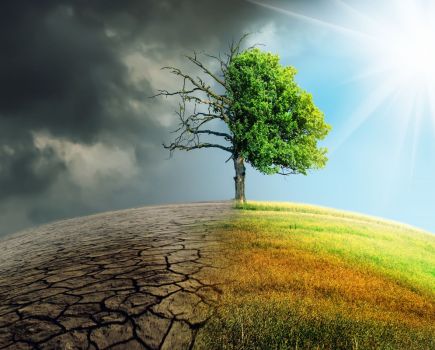 Farming a new future