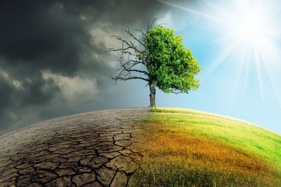 Farming a new future