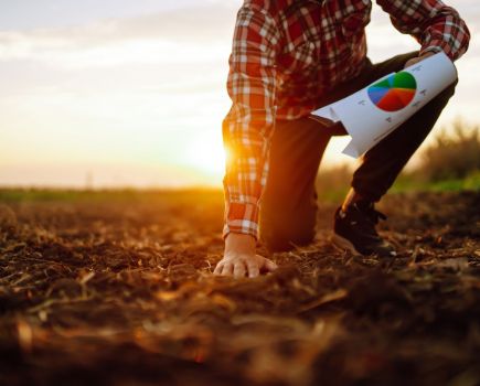 The functionality of soils
