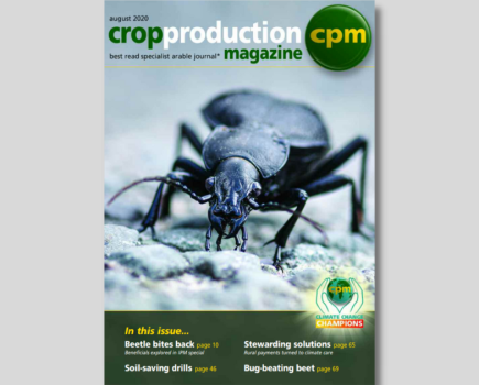Crop Production August 2020