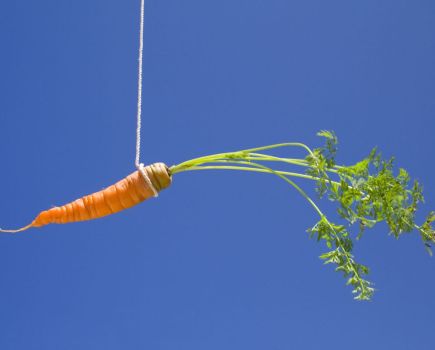 Nature Natters: Carrot or stick? Get while the getting is good