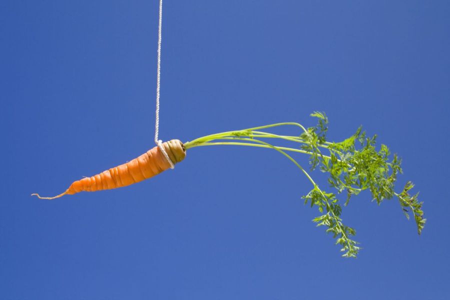 Nature Natters: Carrot or stick? Get while the getting is good