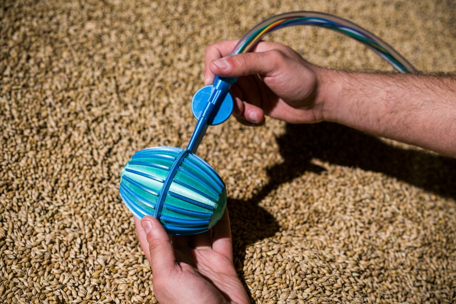 A small blue robotic device held in a hand, hovering above a stack of grain.