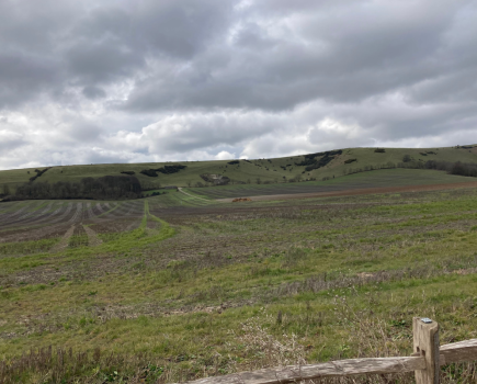 Wider benefits of healthy soils