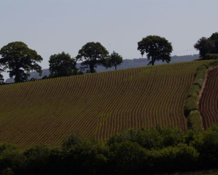 Styles’ Stance: The bureaucracy of natural capital