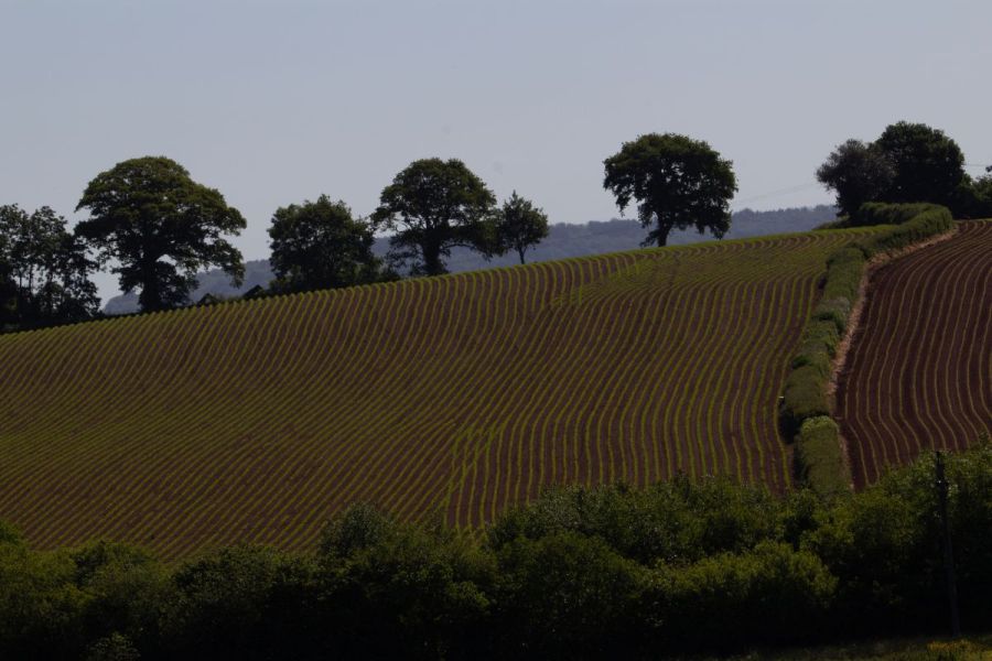 Styles’ Stance: The bureaucracy of natural capital