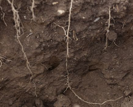 The ‘so what’ of soil testing