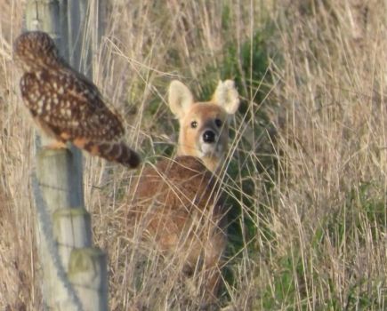 Smith’s Soapbox: Wide-eyed at Wild Isles