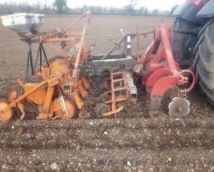 Finally, a bit of field work