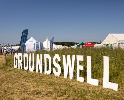 Groundswell