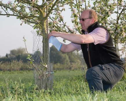 Image of a man wearing sunglasses and a gilet in a field tending to a tree.