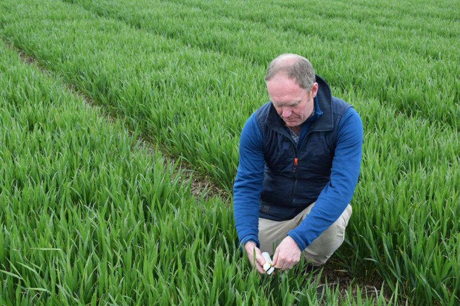 Finding the sweet spot: Nitrogen use efficiency